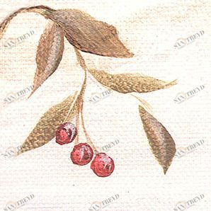 Oliva декор 25.8(220) деколь Factoria sun-id-317136