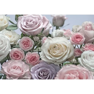 Фотообои бумажные, 368х254 см, Розы