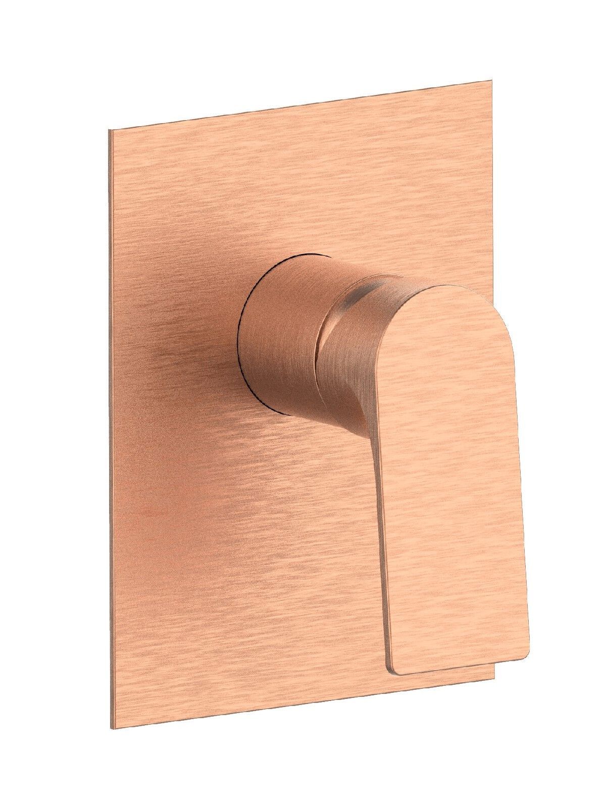 Однорычажный встраиваемый смеситель для душа с пластиной Rubinetterie Frattini отдельная эстетика ARCH-00023373 - Вид №14