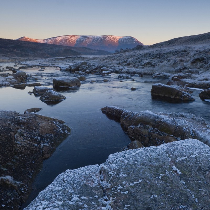 1894/CX38 Картина 0656 Adriani e Rossi 