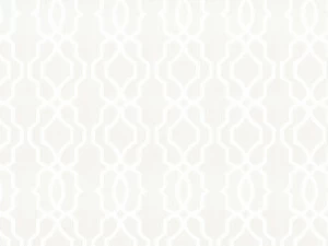 COLORISTICA 2557-12 Портьерная ткань  Тюль  Elixir