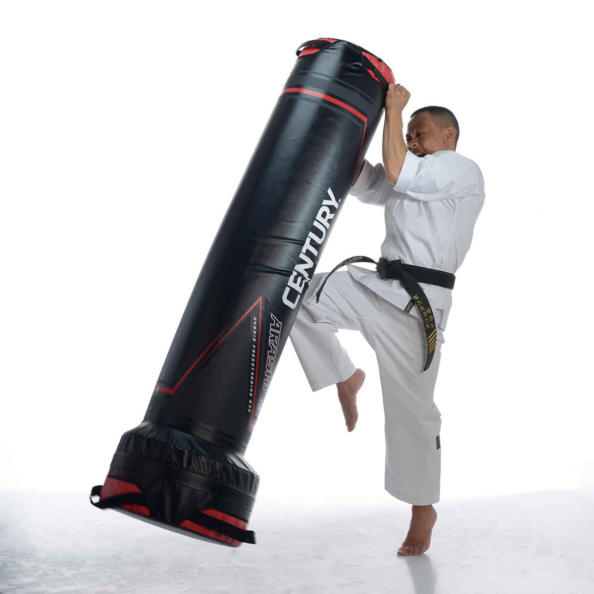 ARASHI 770 Напольный мешок century arashi 770 Century  - Вид №2