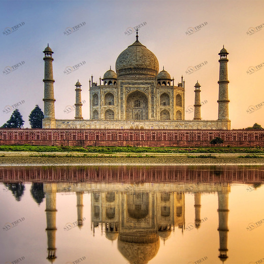 A1-080 Фотообои DIVINO Collection A 2.7х3 м A1080