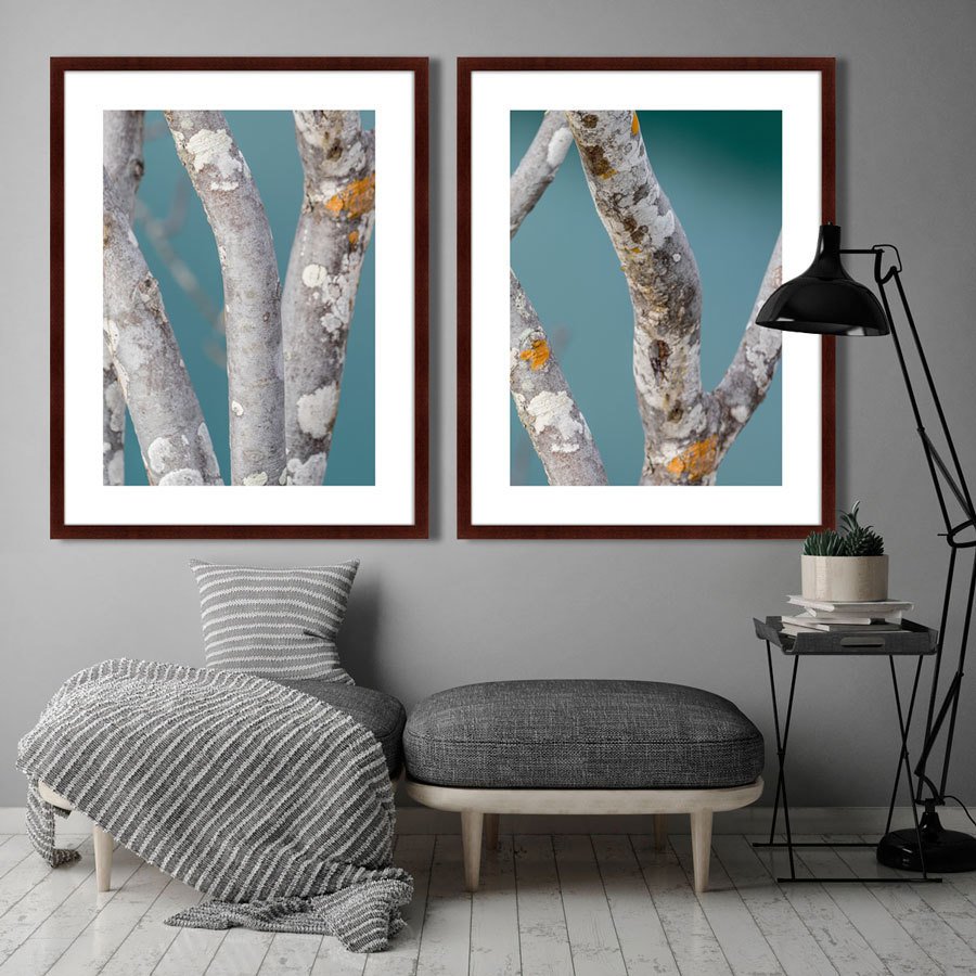 Фотокартина в раме 78,5х100 см Trees on the Galapagos Islands, Ecuador No3 КАРТИНЫ В КВАРТИРУ  264887 Голубой;серый;разноцветный  - Вид №2