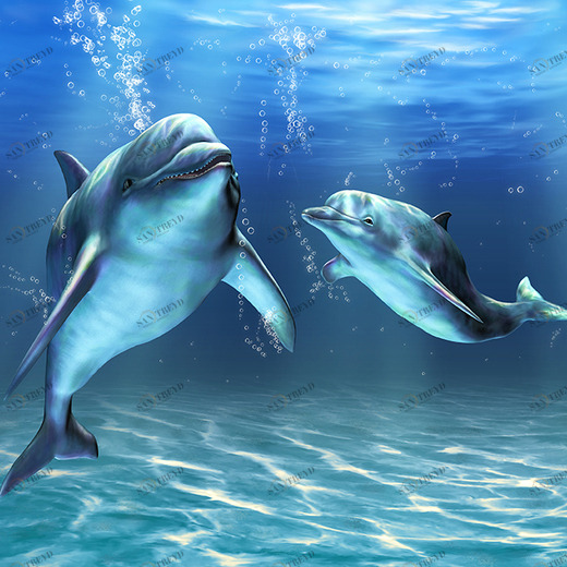 D2-064 Фотообои DIVINO Collection D 2.38х3 м D2064