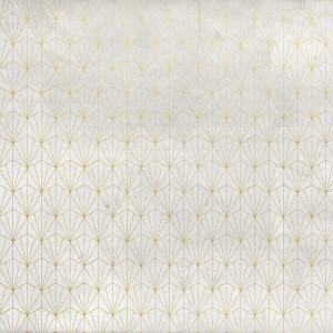 WP09007F Обои декоративные Adriani e Rossi