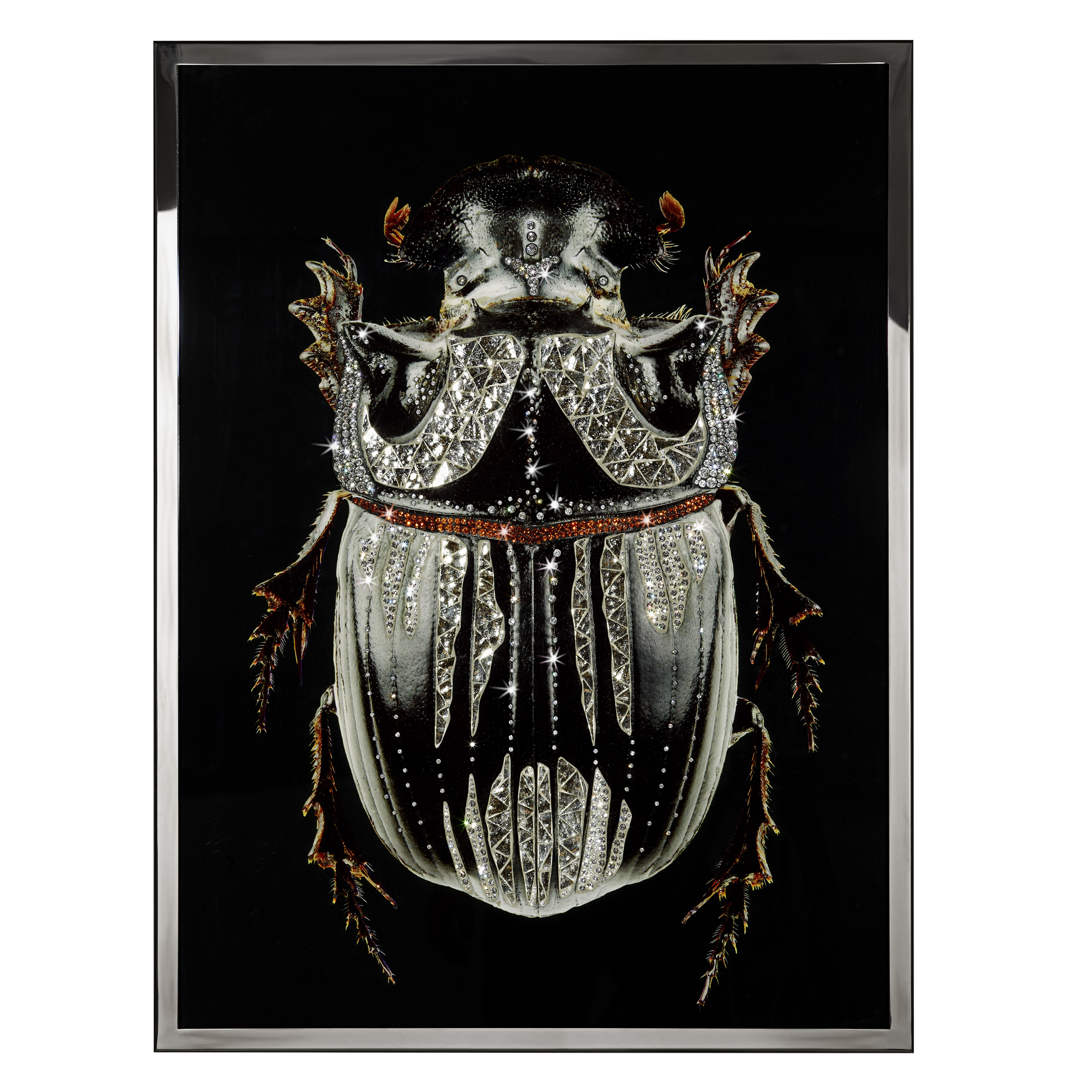 Coleottero Nero Смешанная техника Visionnaire  - Вид №1