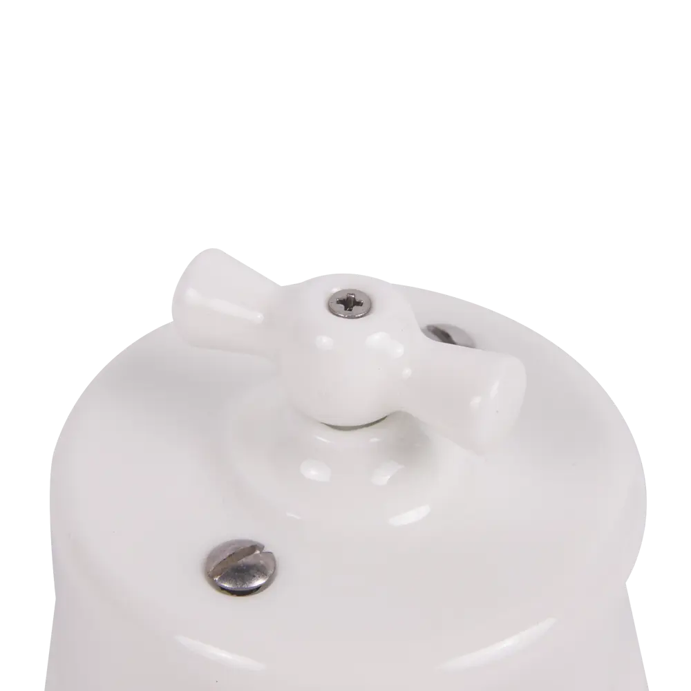 Выключатель накладной ELECTRALINE Bironi ретро с поворотным механизмом 82063846 STLM-0018575 - Вид №1