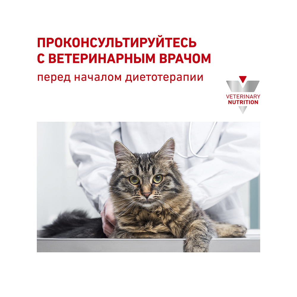 Т0055620 Корм для кошек Vet Diet Gastro Intestinal GI32 при нарушении пищеварения, птица сух. 400г ROYAL CANIN  - Вид №9