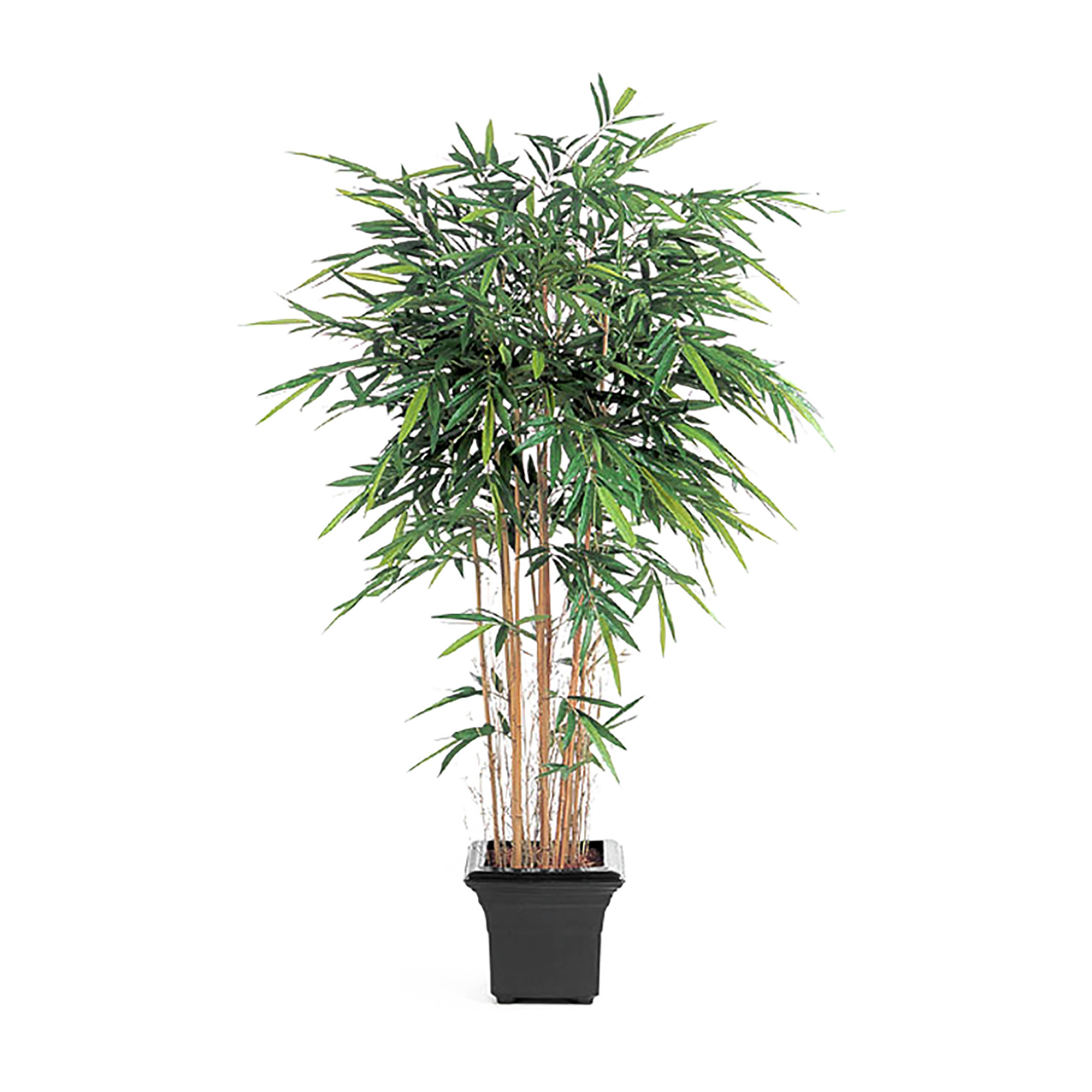 2000983222008 Бамбук Новый 210 см LINDDNA Santreyd 