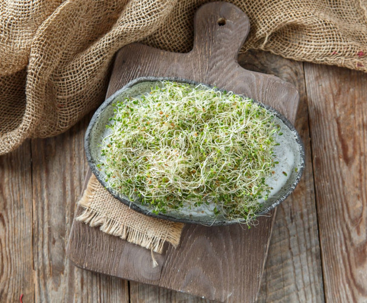 4172 Микрозелень люцерны Вкусляндия 