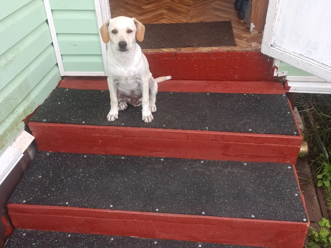 9.3.4AS.2Bg Противоскользящие накладки на ступени Alegria step и Alegria step waterproof  - Вид №1