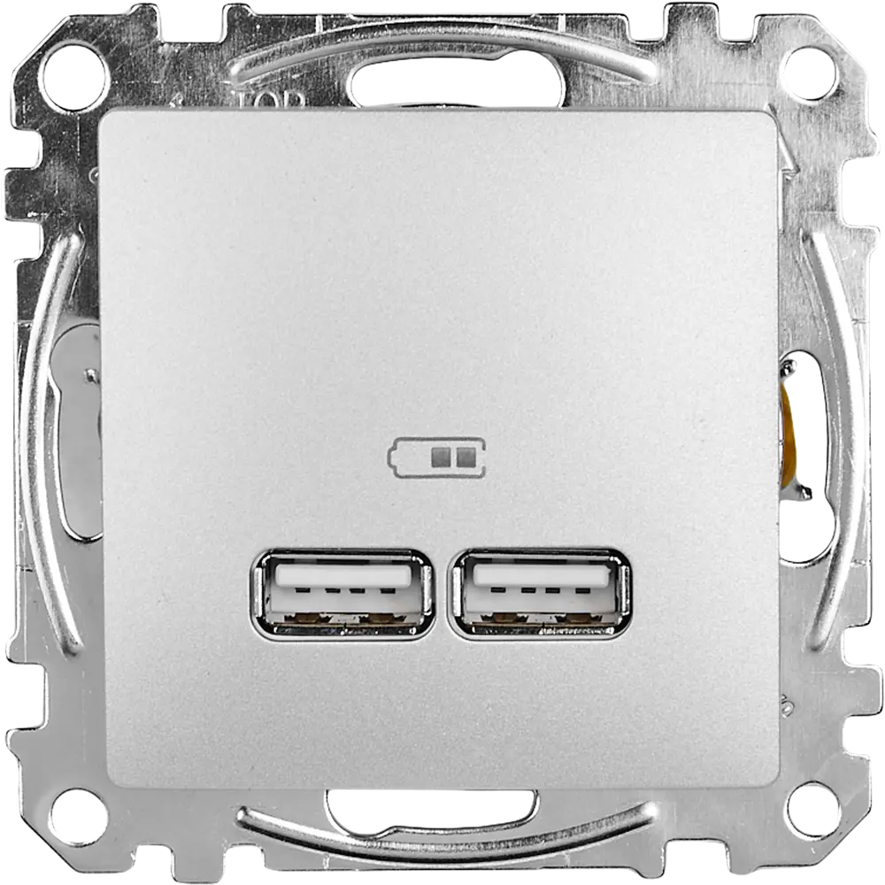 Розетка USB встраиваемая Systeme Electric Sedna, цвет алюминий STLM-2094467