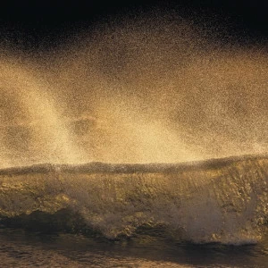 SH006-VD1-Golden-Wave Фотообои Komar Stefan Hefele 1х2 м