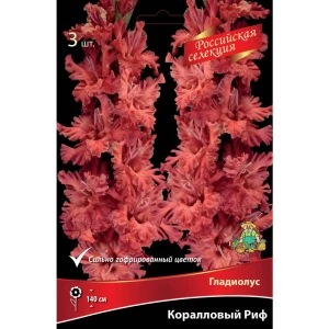 Гладиолус Коралловый риф, 3 шт.
