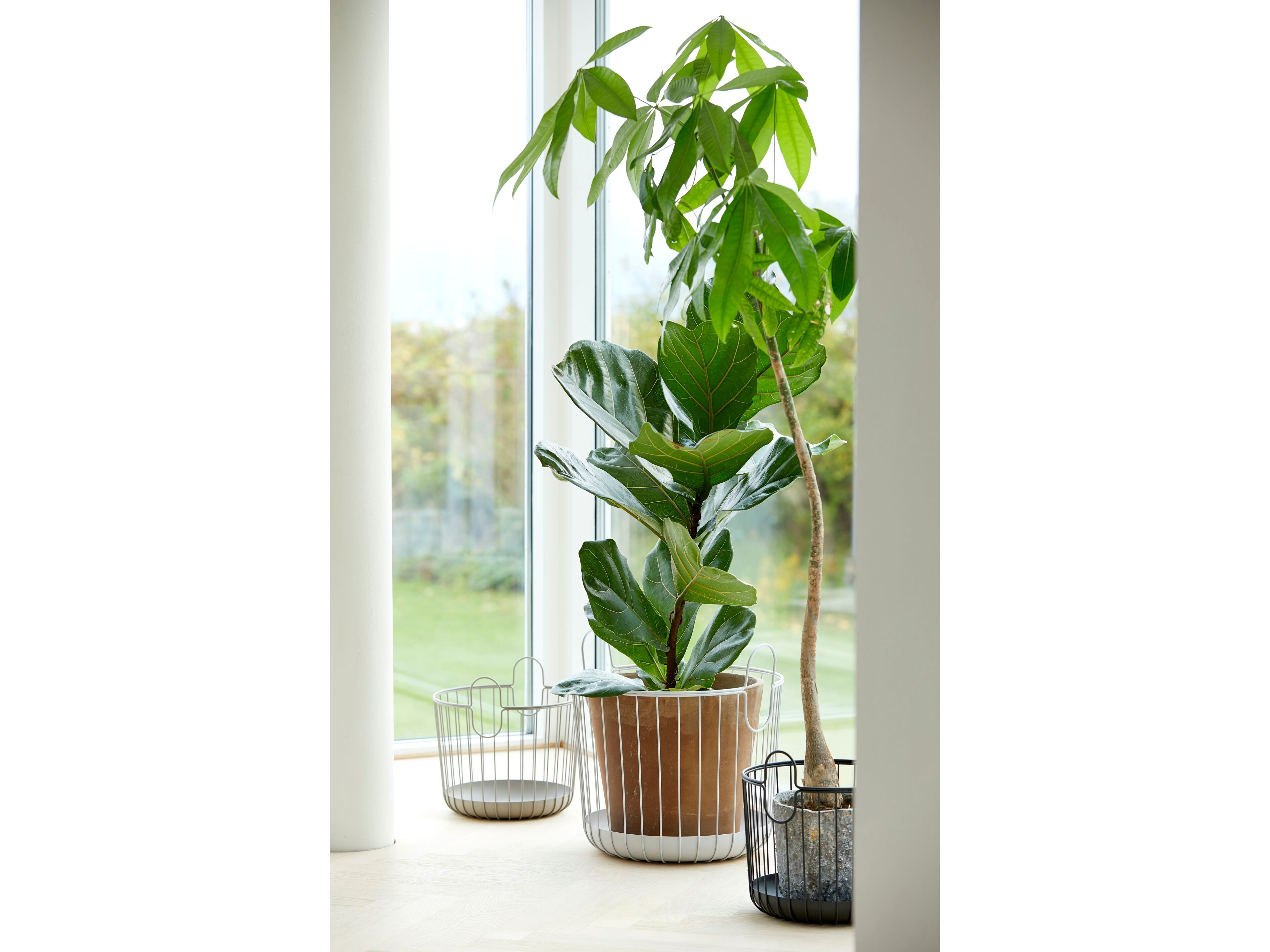 Стальная корзина с порошковым покрытием ZONE DENMARK Inu ARCH-00140973 - Вид №1