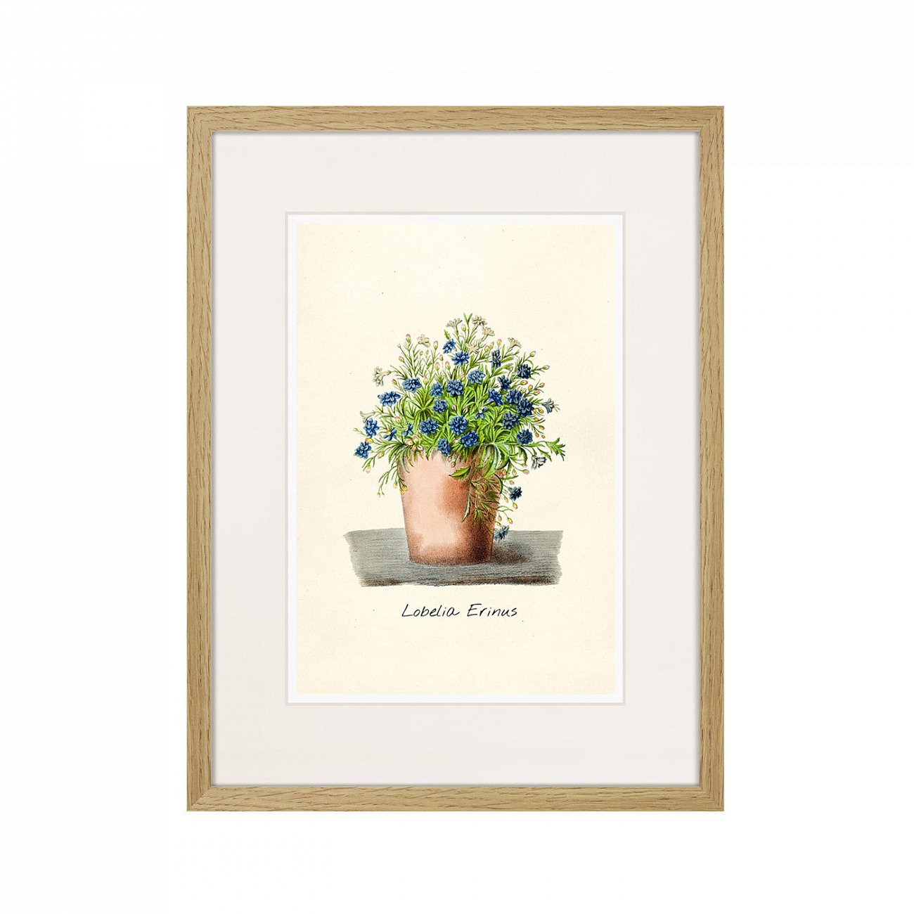 Картина в раме 32х42 см Botany illustration №9, 1836г. КАРТИНЫ В КВАРТИРУ  264501 Бежевый;зеленый;разноцветный  - Вид №1