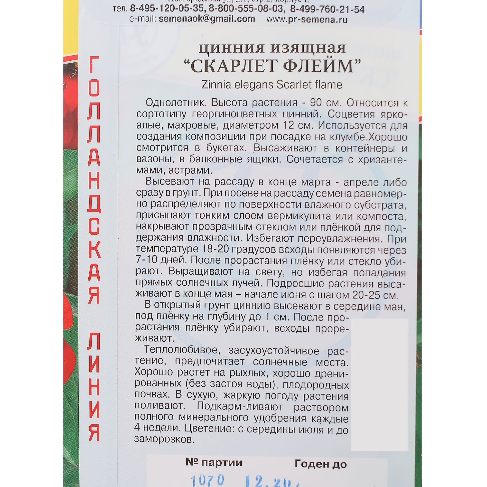 13895827 Цинния изящная «Скарлет флейм» Santreyd  - Вид №2