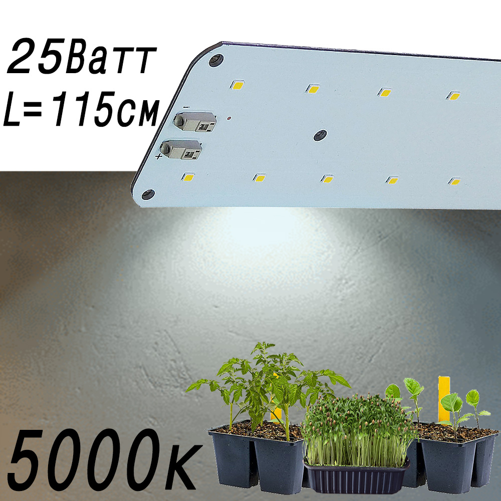 3395 Биколор Комфорт 2.5.b - Рассада,Микрозелень. Белый свет. LAB.Space 
