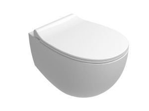 Подвесной туалет без бриды