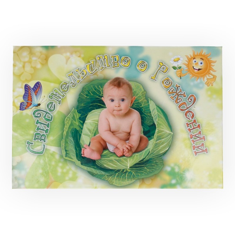 31.027 Свидетельство о рождении А5 Малыш в капусте Santreyd 