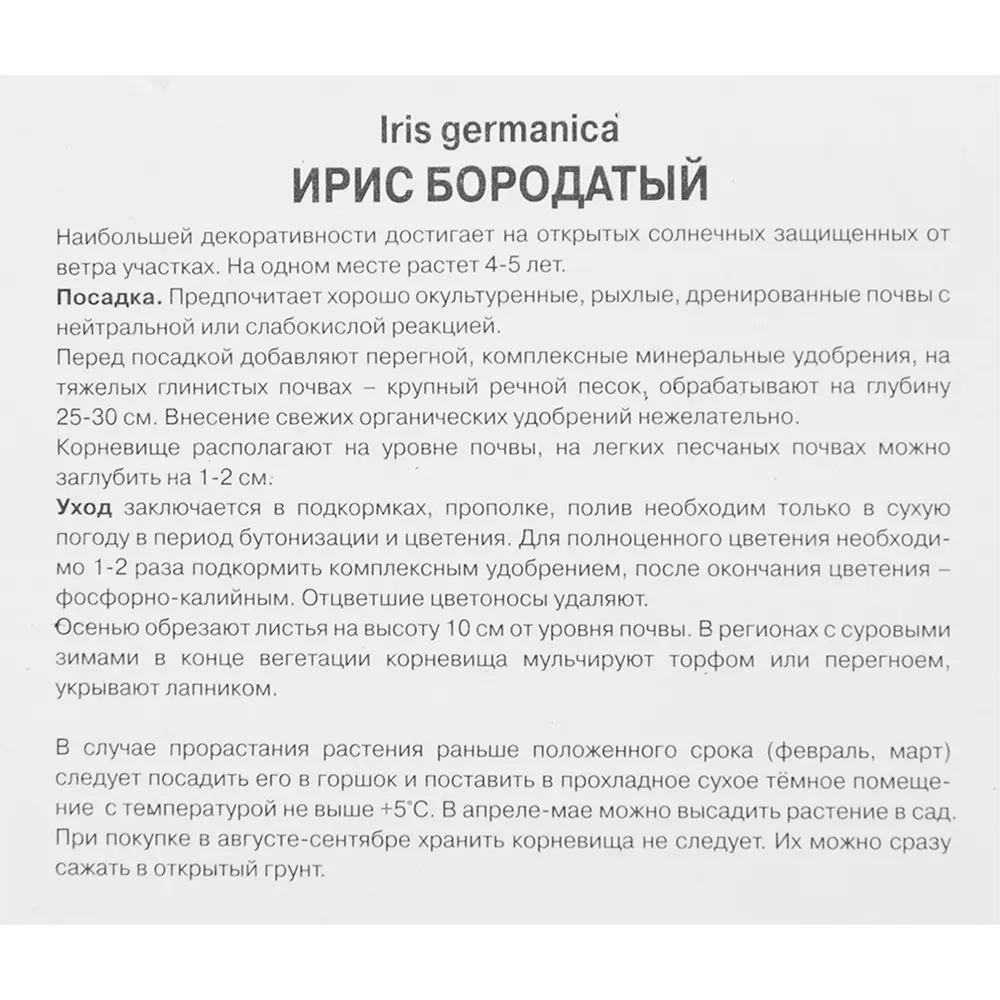 Ирис бородатый Киссинг Секл 86410655 STLM-2102206 ПОИСК  - Вид №2