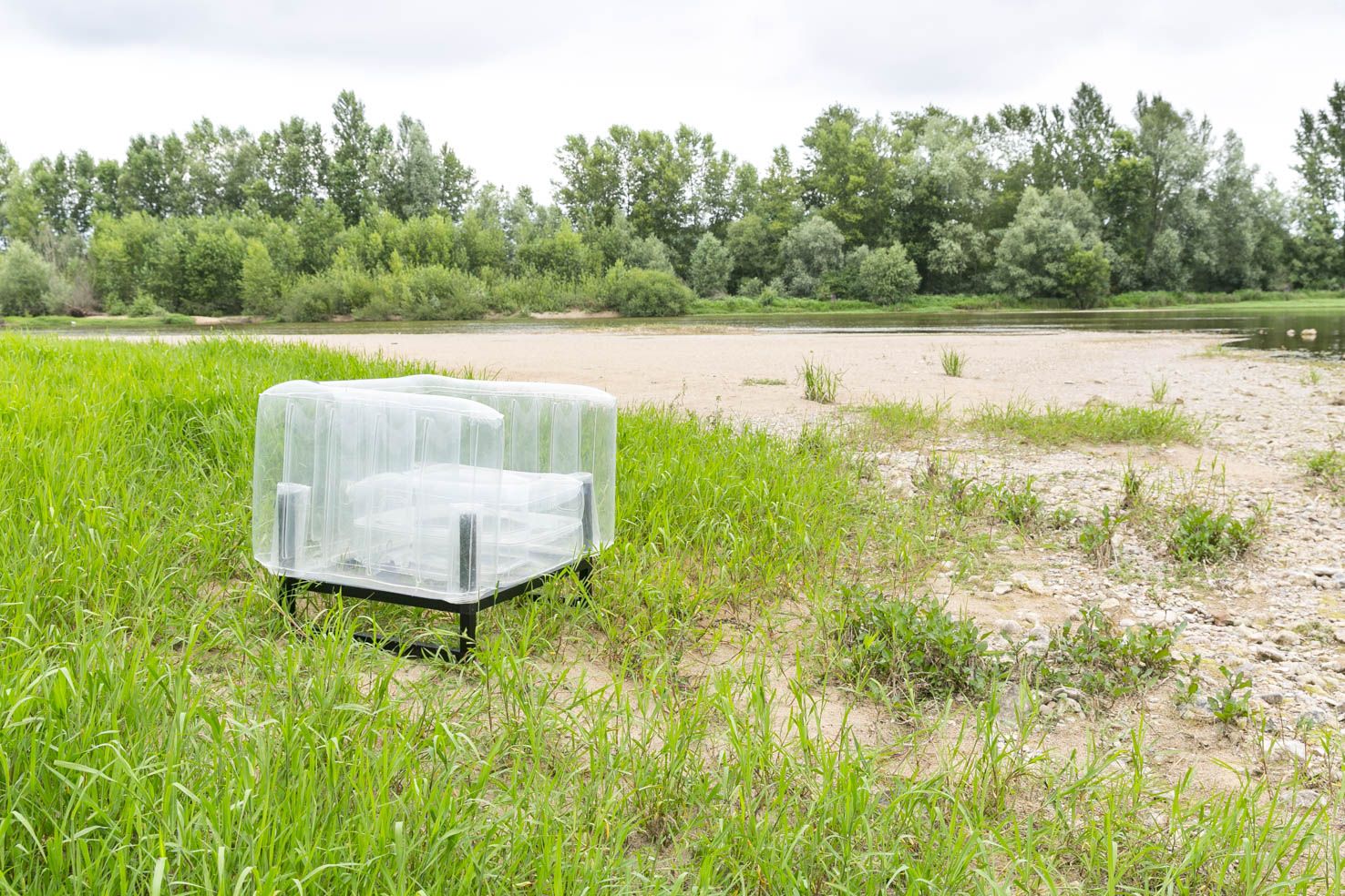 MOJOW YOMI кресло Прозрачный FYCN01TR - Вид №1