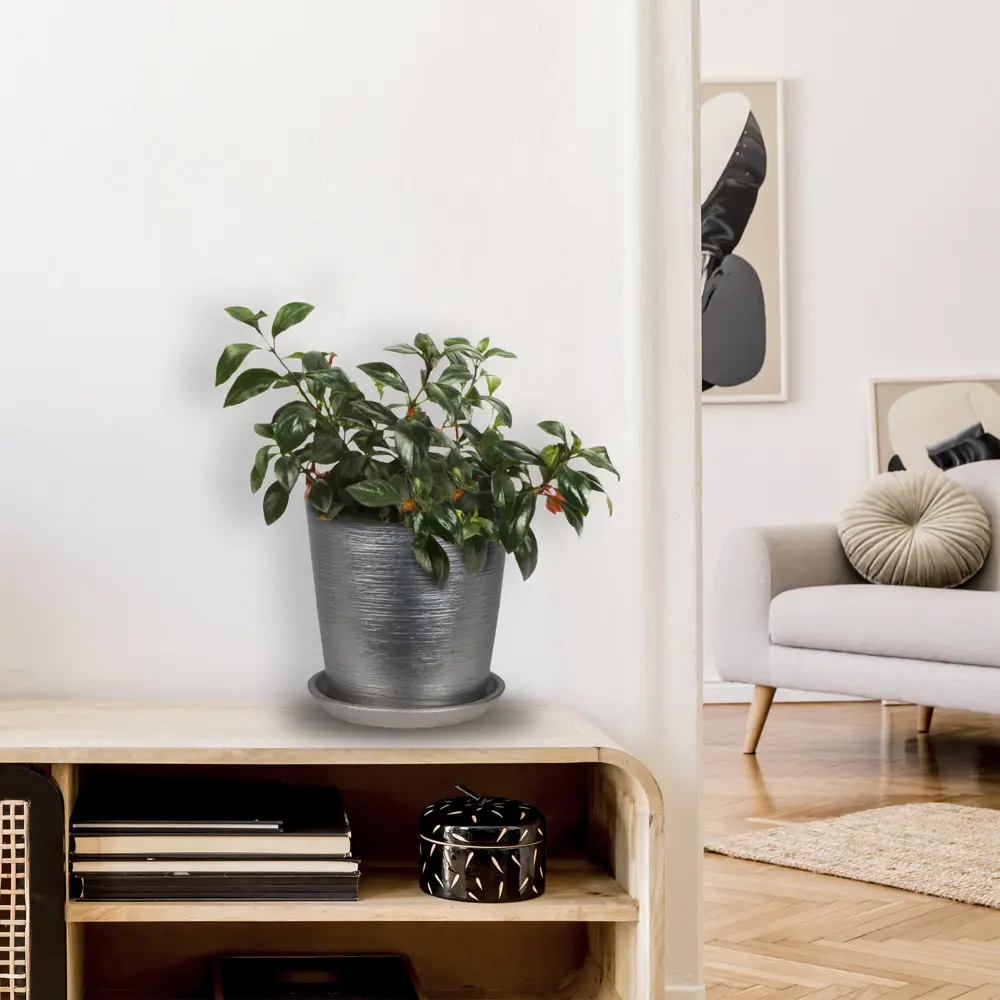 Гипоцирта Santreyd - цветущее украшение интерьера с декоративной листвой 82941544 STLM-0038227 - Вид №3