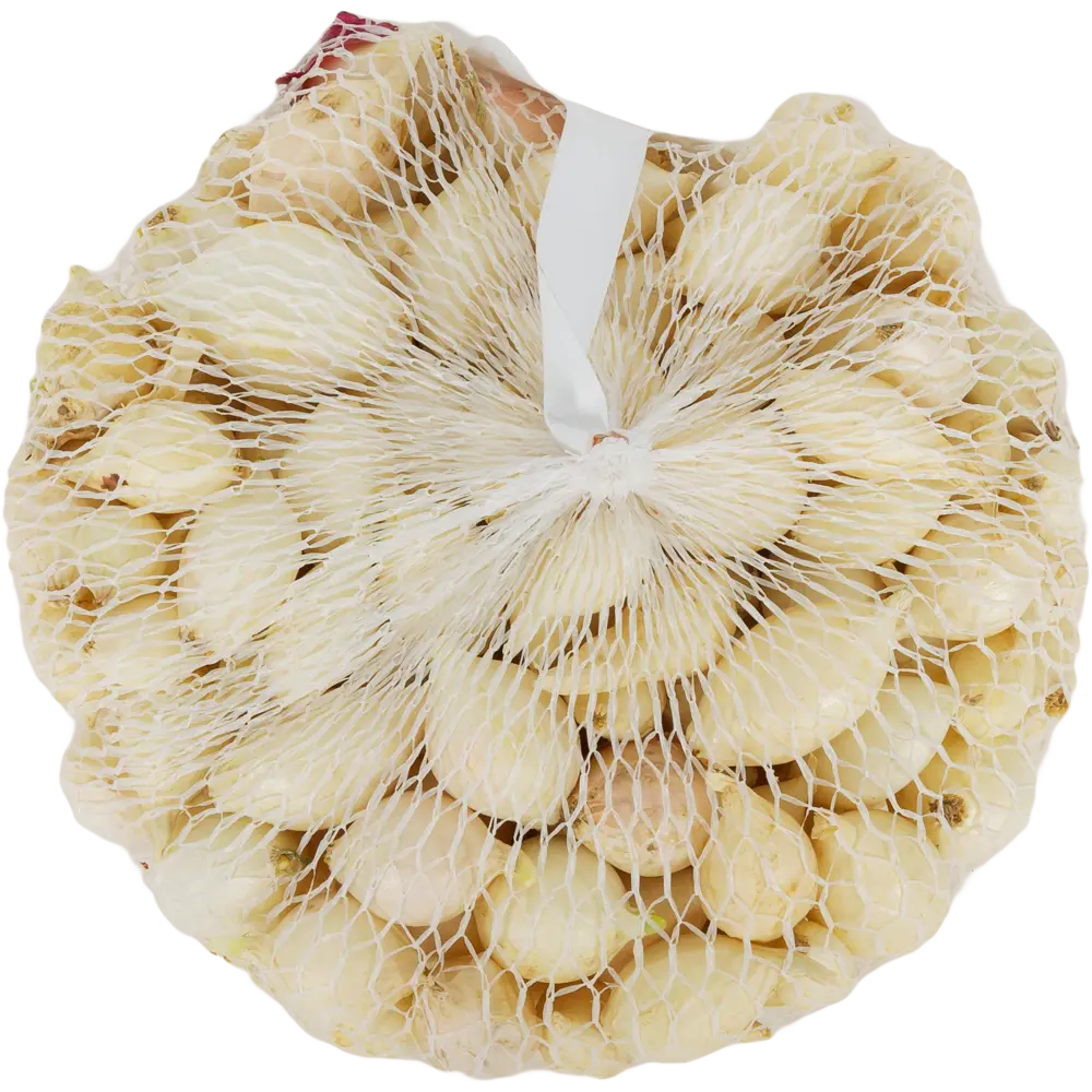 Лук-севок Стардаст 10/21 0.9 кг ПРЕСТИЖ СЕМЕНА STLM-2190496