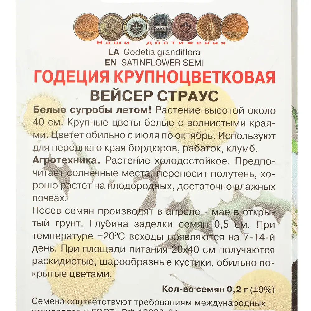 Годеция крупноцветковая «Вейсер Страус» ПОИСК STLM-2095062 - Вид №2