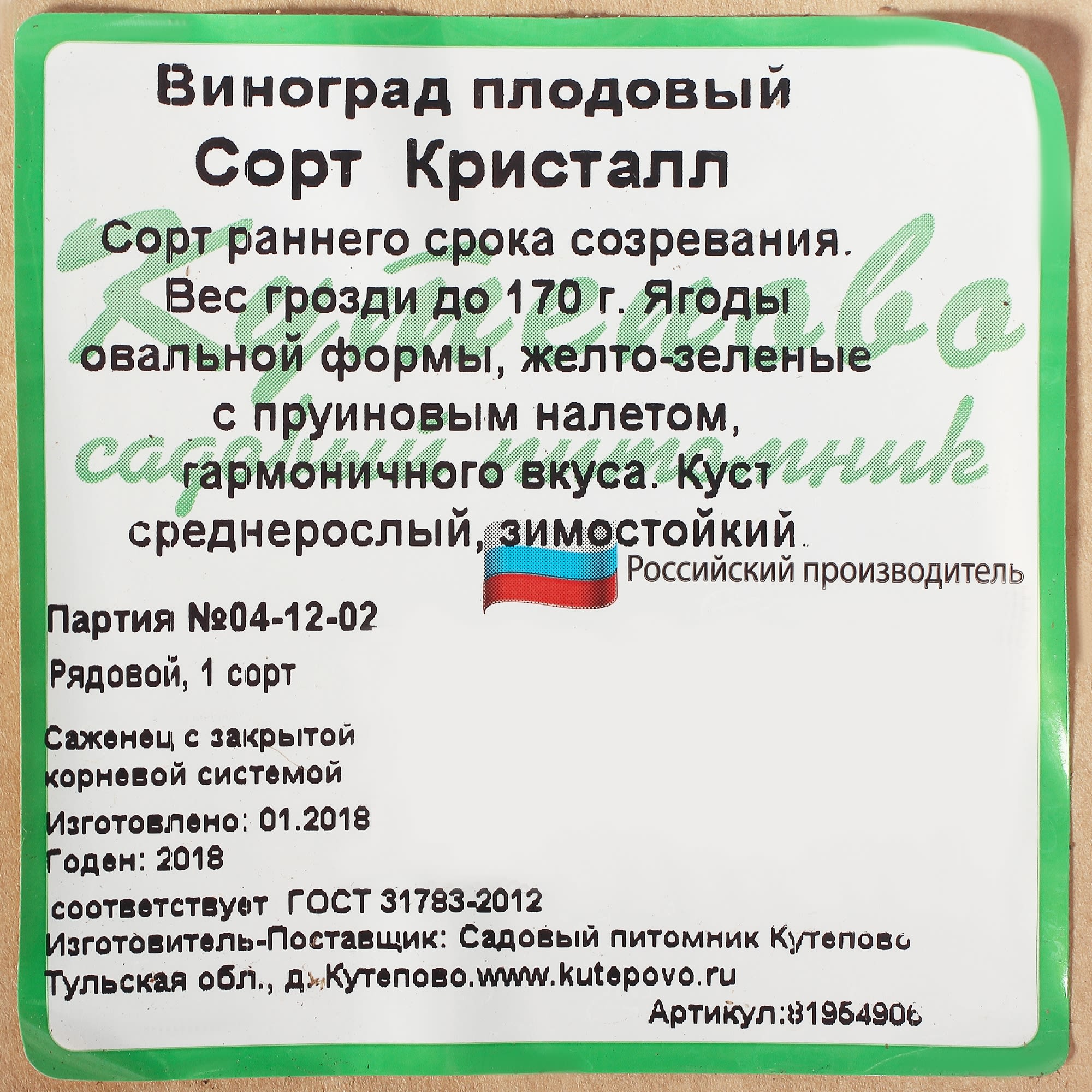 81954906 Виноград плодовый С2 «Кристалл» h50 Santreyd  - Вид №2