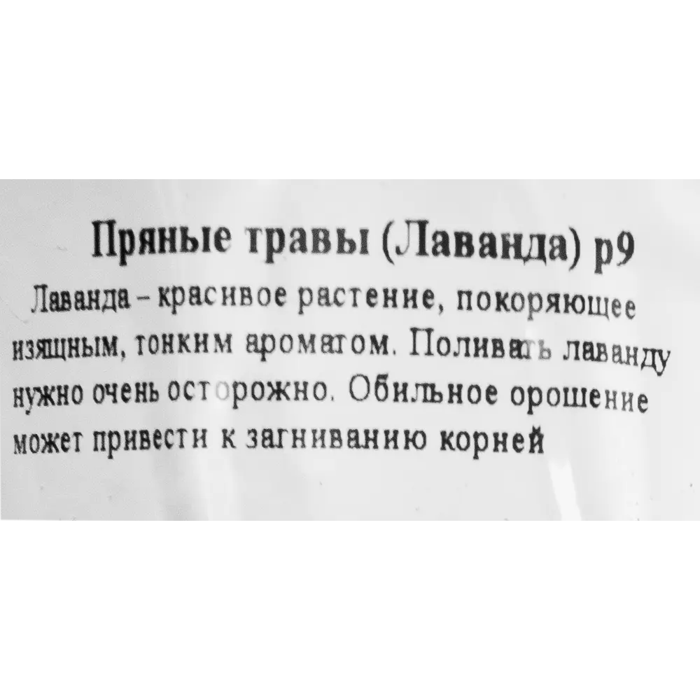 Santreyd Лаванда в горшке — ароматное украшение интерьера 83248600 STLM-0039997 - Вид №2
