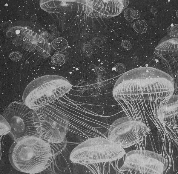 Декоративная панель Underwater Gray Poison Alex Turco GRAYPOISON