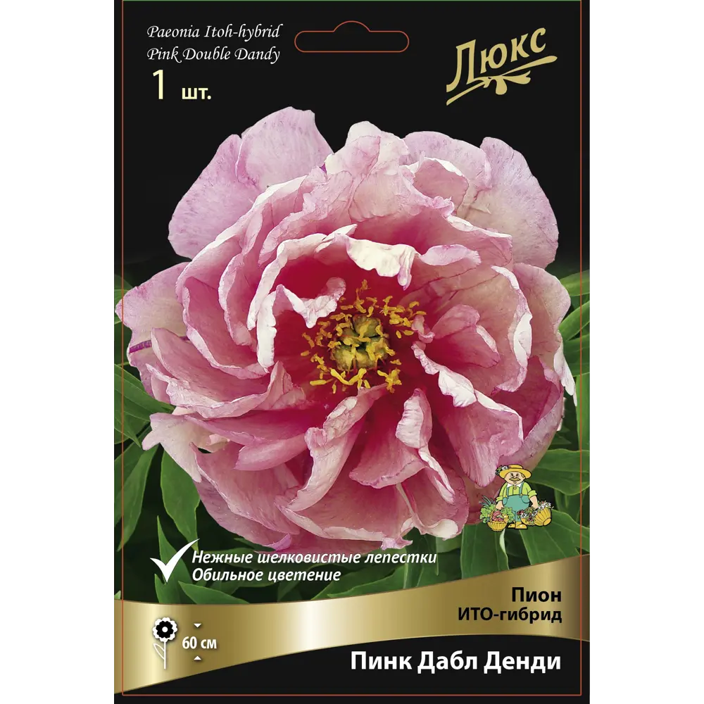 Пион ИТО-гибрид Пинк Дабл Денди ПОИСК STLM-2122689