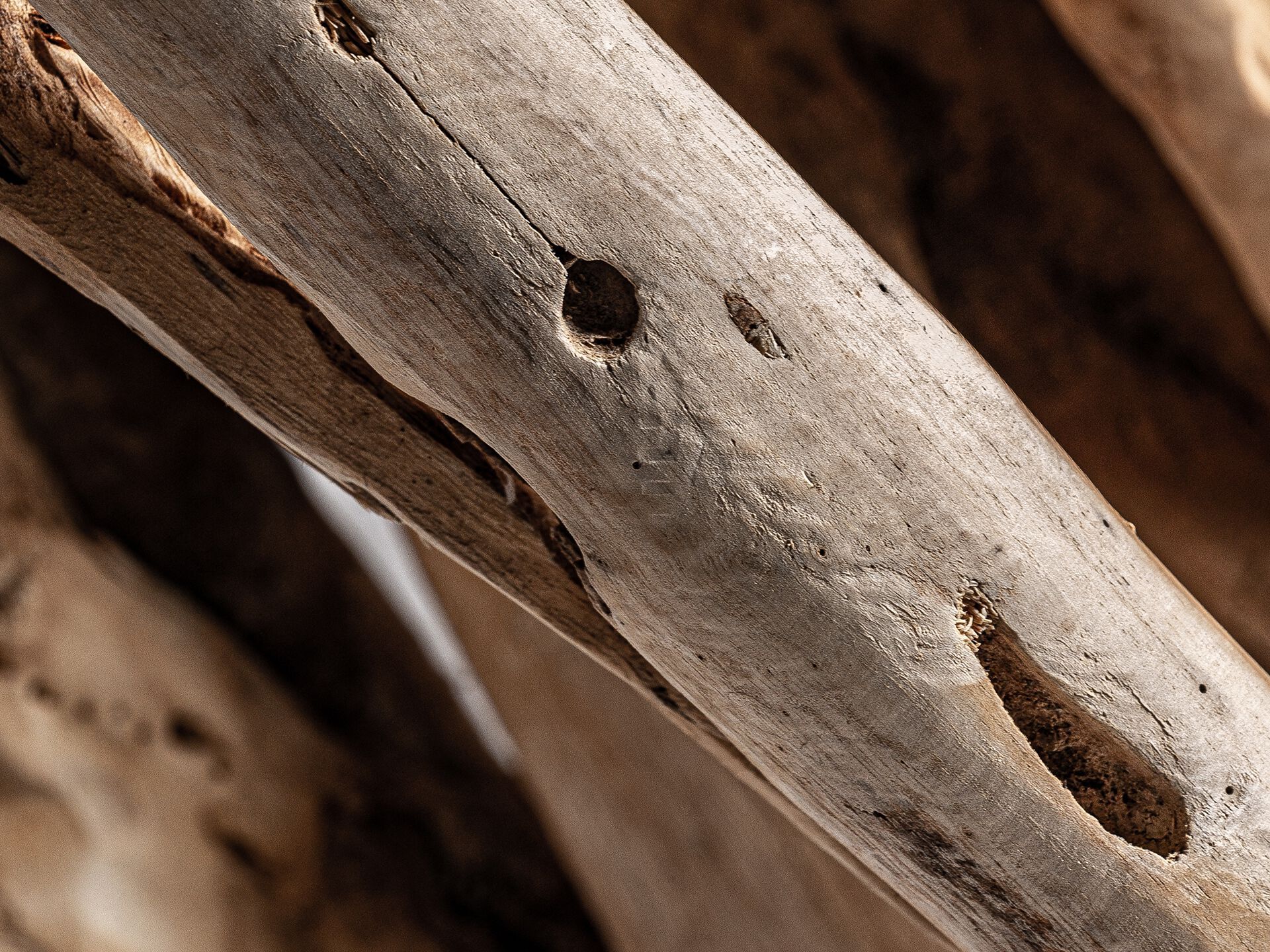 Резьба по дереву Vical Home SCULPTURE ARCH-00090261 - Вид №2