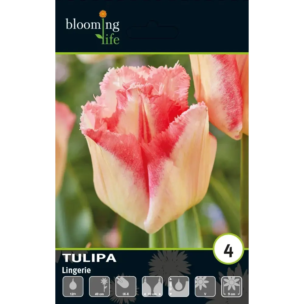 Луковицы тюльпана бахромчатого Линжери 12 шт - многолетние розовые цветы 89432938 Santreyd STLM-1583438