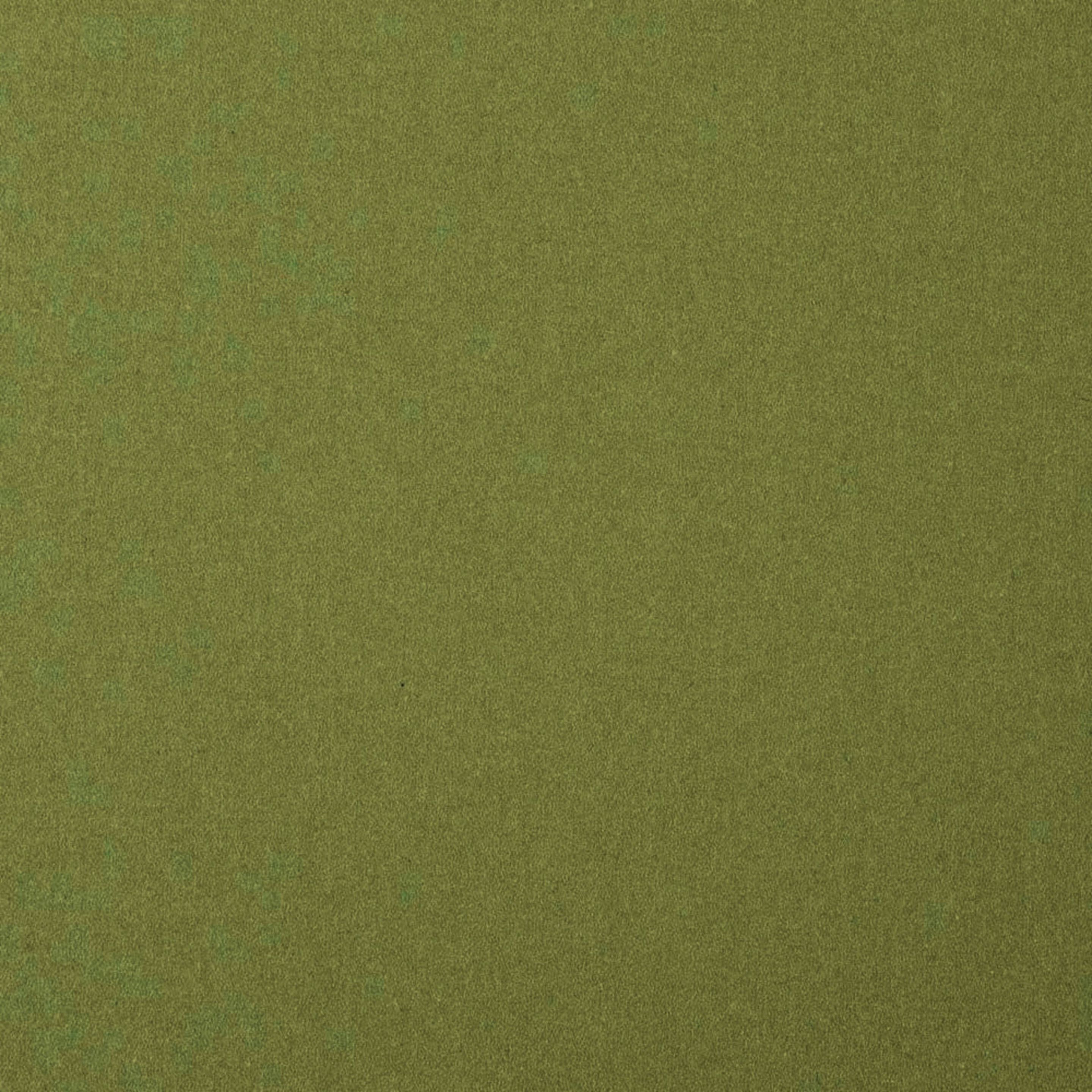 Шерстяная однотонная ткань Casamance Эдинбург ARCH-00140233 - Вид №22