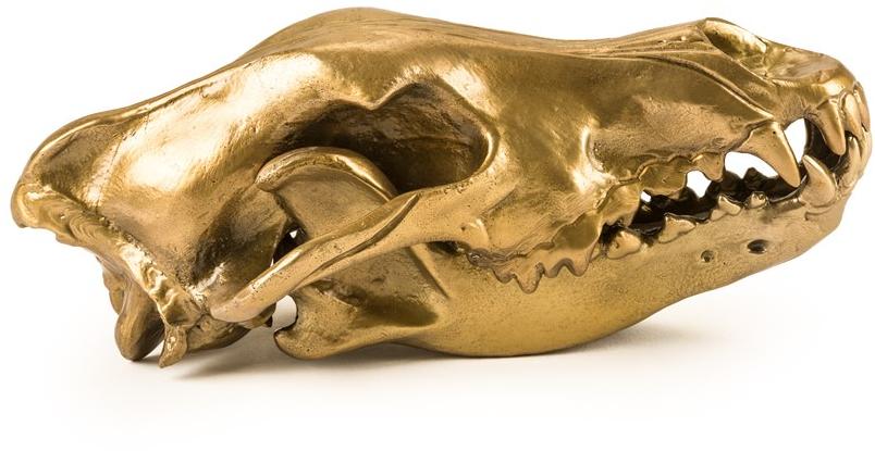 Seletti Алюминиевый декоративный предмет Wunderkammer sun-id-1419385 - Вид №5