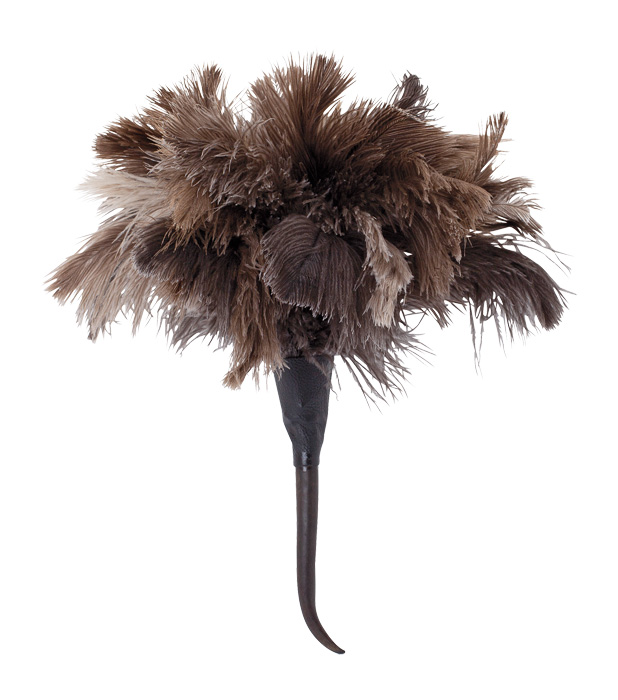 468801 Страусиная лапка Бюрстенвельт Buerstenwelt 