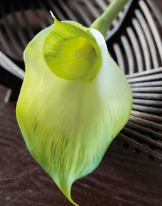 3807 807 a2 Искусственная зантедеския 'double', 77 см, real touch, зелено-белый H-andreas