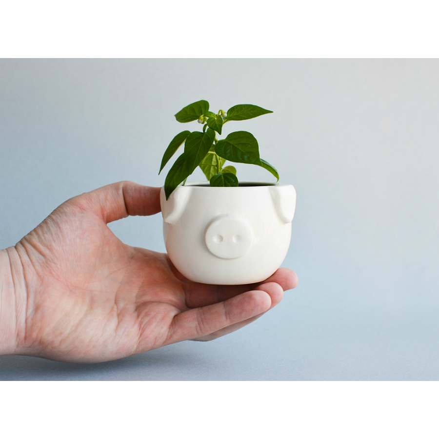 Набор для выращивания Eco мини-кашпо «Минипиг» ЭКОЧЕЛОВЕКИ MIN103 - Вид №3