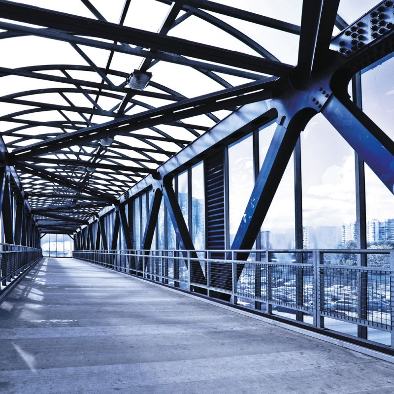 0701/CX38 Картина 0701 Adriani e Rossi  - Вид №1