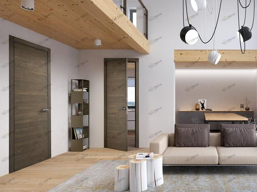 BARAUSSE Распашная дверь из серого дуба Nature sun-id-1422765