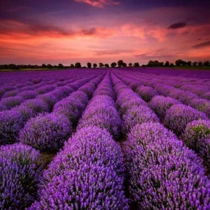 WP02687 Фотообои Verol Фотообои decoline 1х1 м