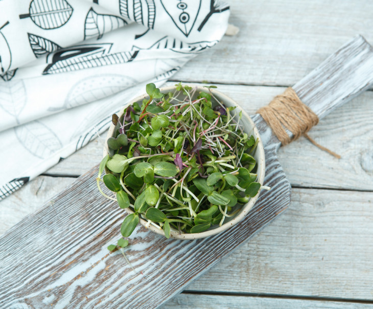 4126 Микрозелень Микс салатный Вкусляндия 