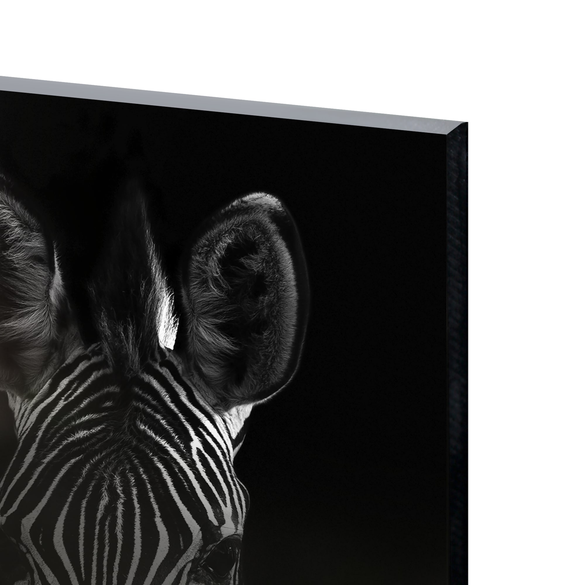 82977341 Картина на стекле «Зебра» 40x60 см Santreyd  - Вид №1