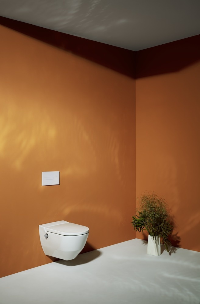 H8206017577171 Подвесной унитаз-биде, безободковый rimless, включает в комплект съемное сиденье с крышкой с механизмом "мягкое закрывание" LAUFEN PRO - Вид №49