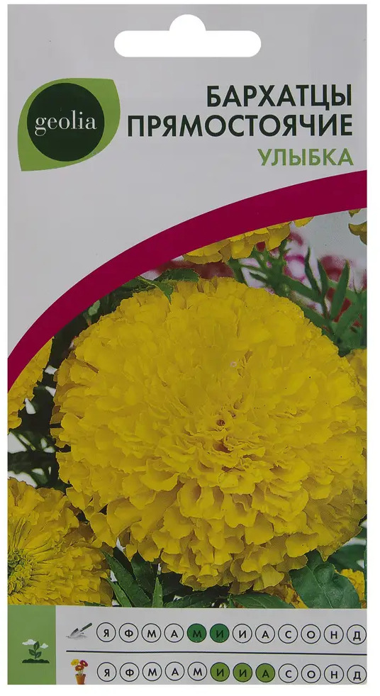Бархатцы Улыбка GEOLIA - высокорослые с крупными соцветиями 17585527