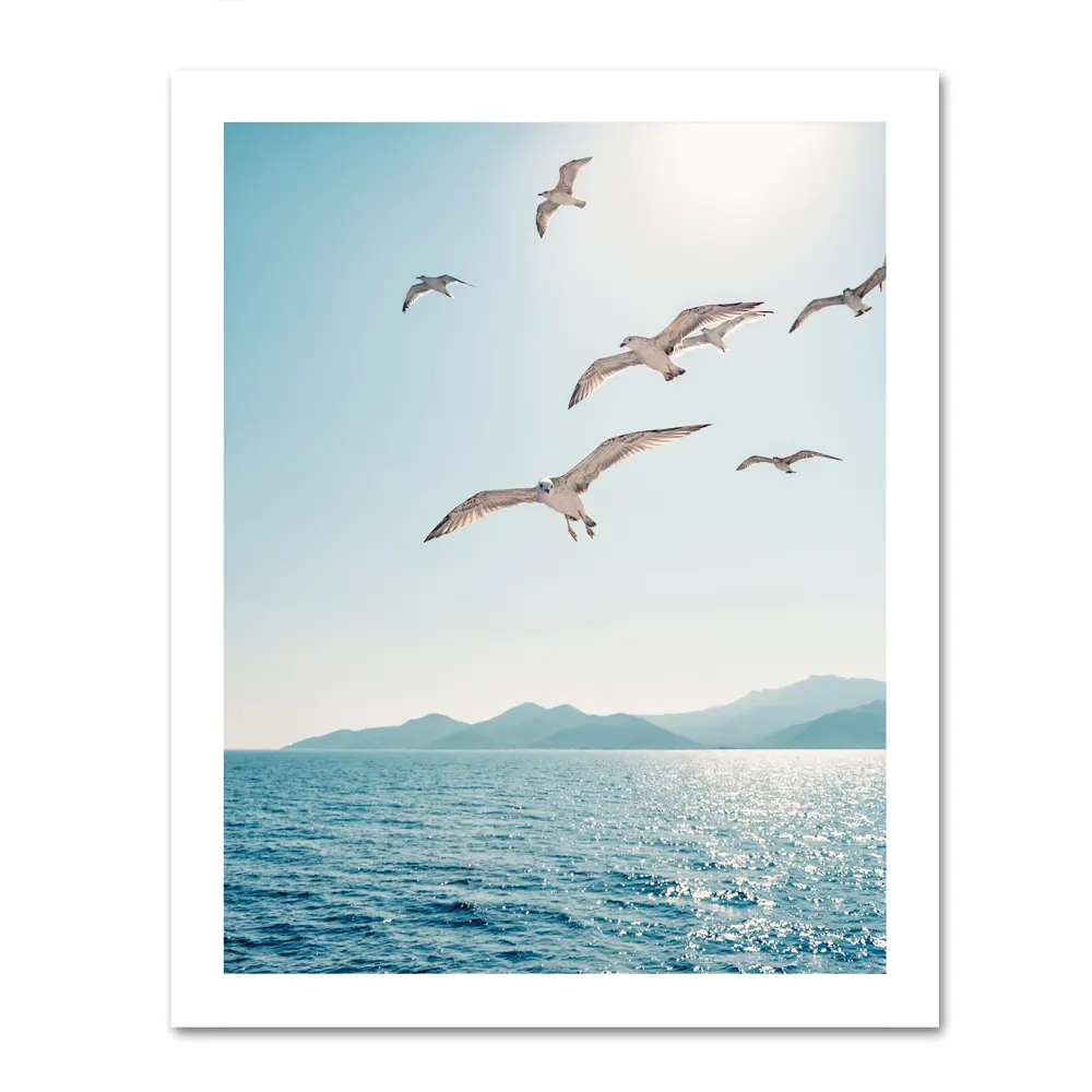Santreyd Постер «Парящие чайки» для стильного интерьера 87794366 STLM-0823092 - Вид №1