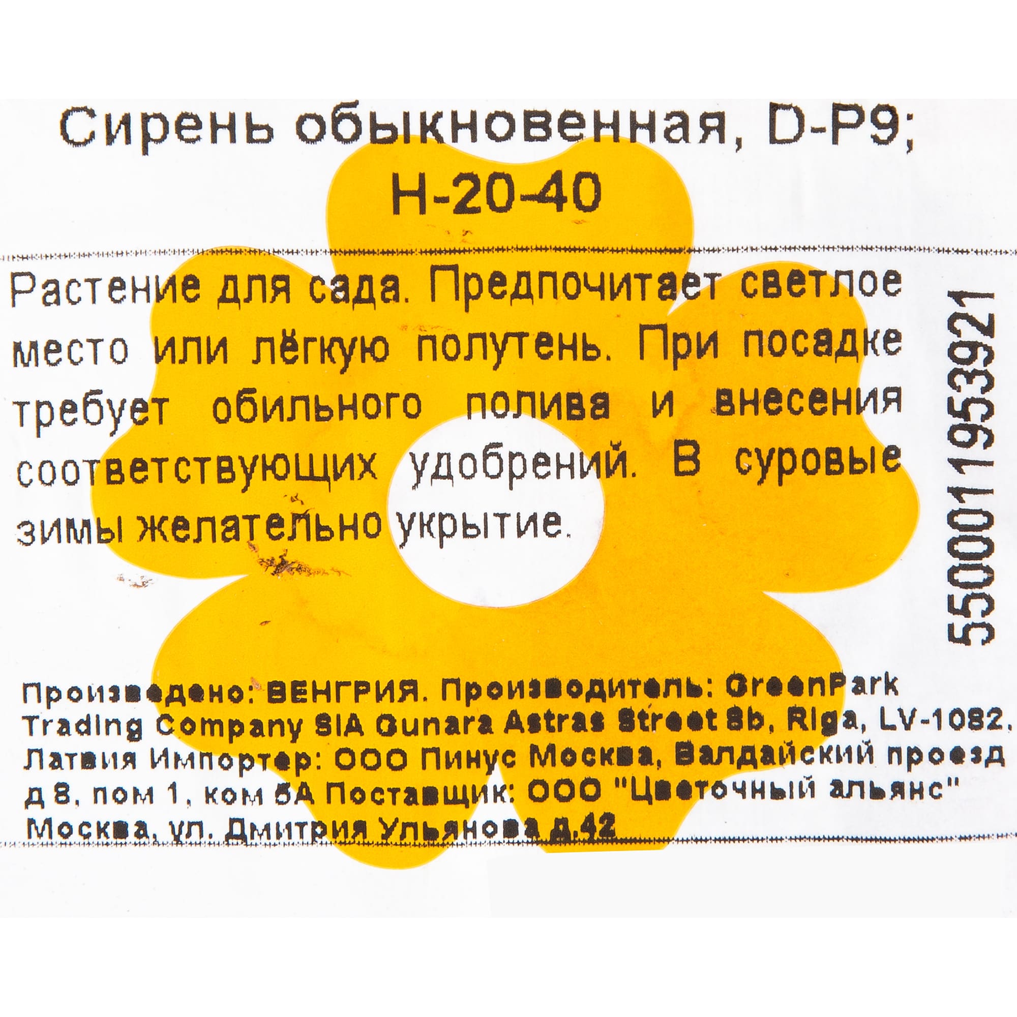 17892009 Сирень обыкновенная P9 Santreyd  - Вид №1